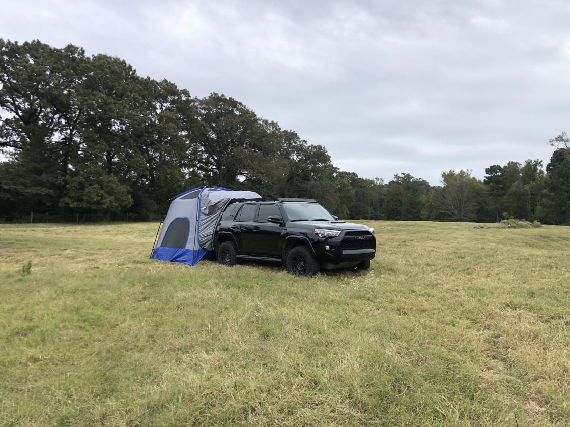 plenty of room for camping