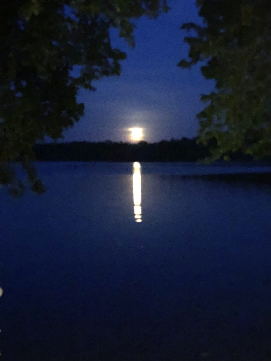 The moon rising over the lake. Looked like a fire the first time we saw it below the horizon. If you time it right, you can float in the water and watch the moon come up :)