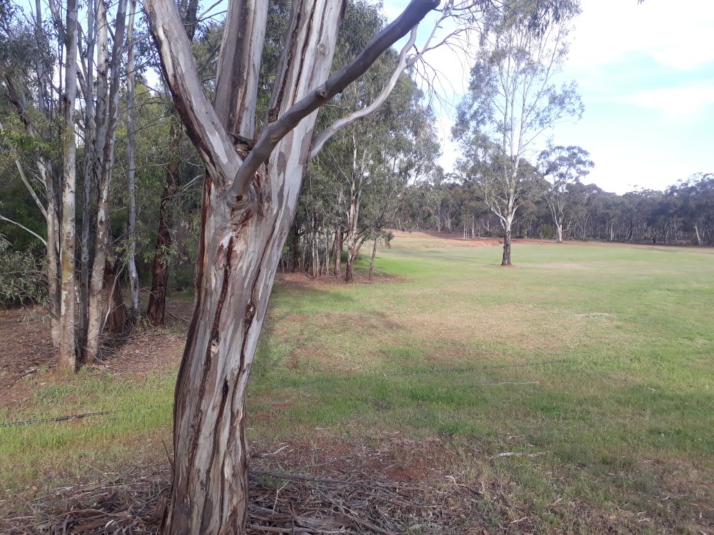 Basecamp near Wedderburn