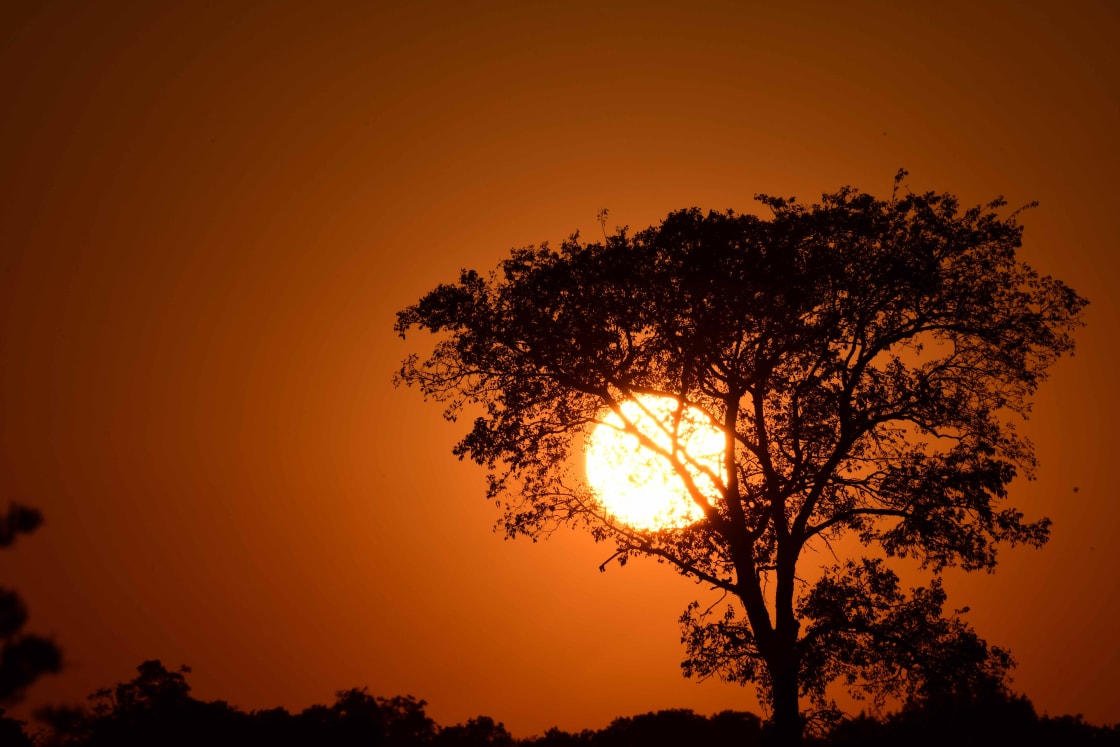 Nearly a Serengeti Sunset