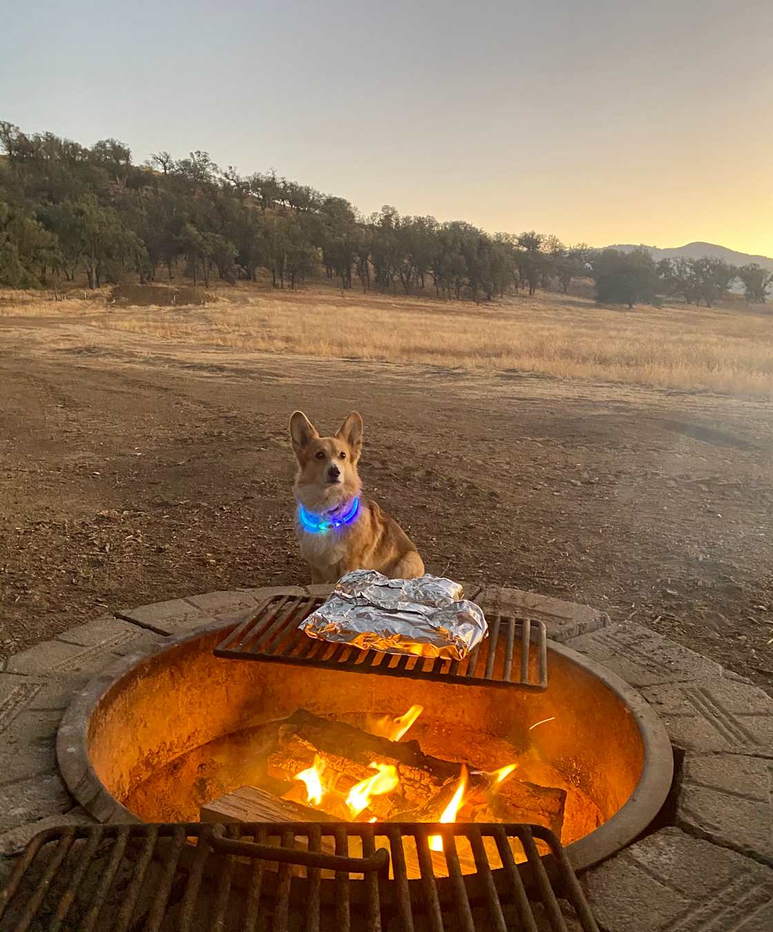 Each site comes with a fire pit and grates for grilling 