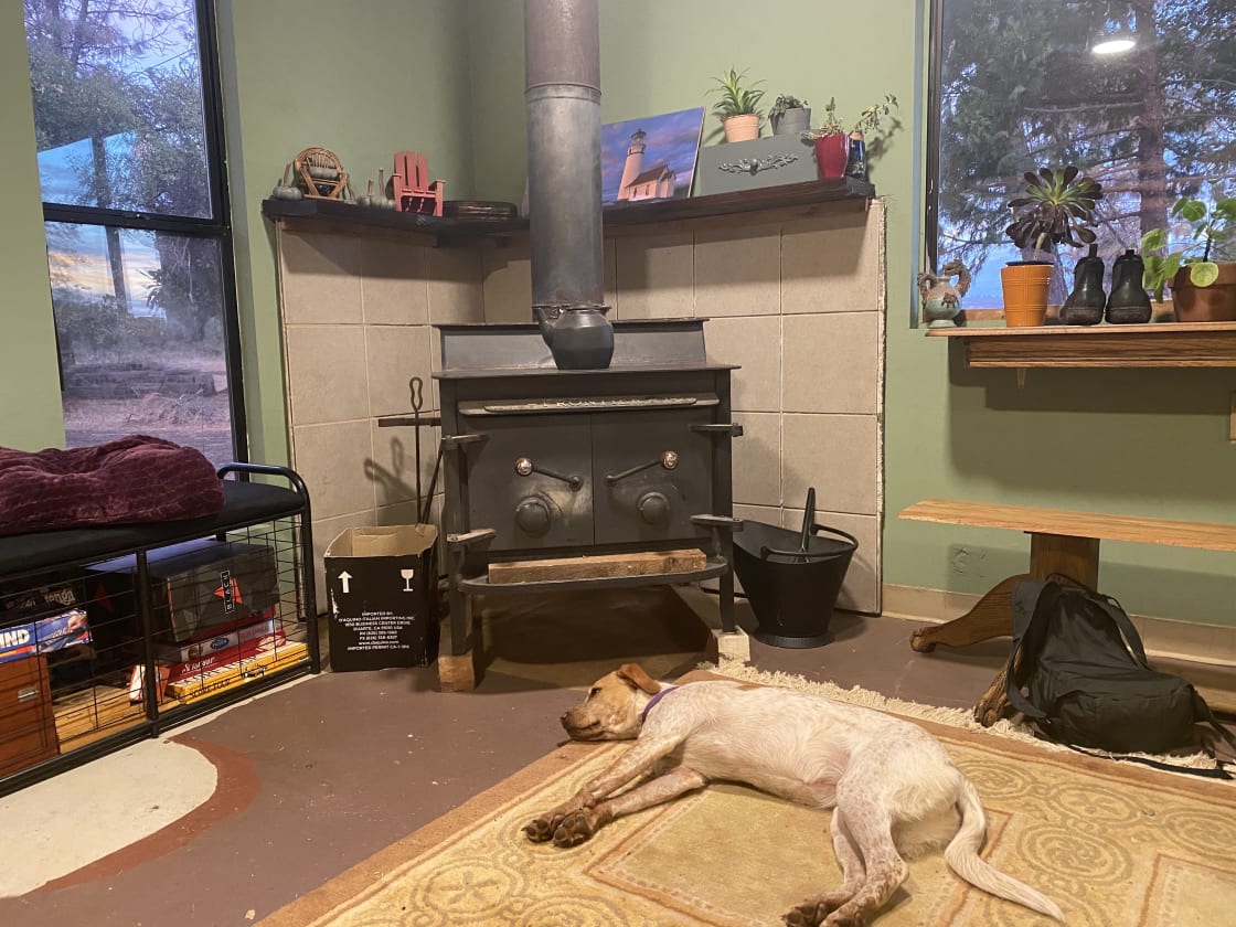 Maggie snoozing by the cozy stove!