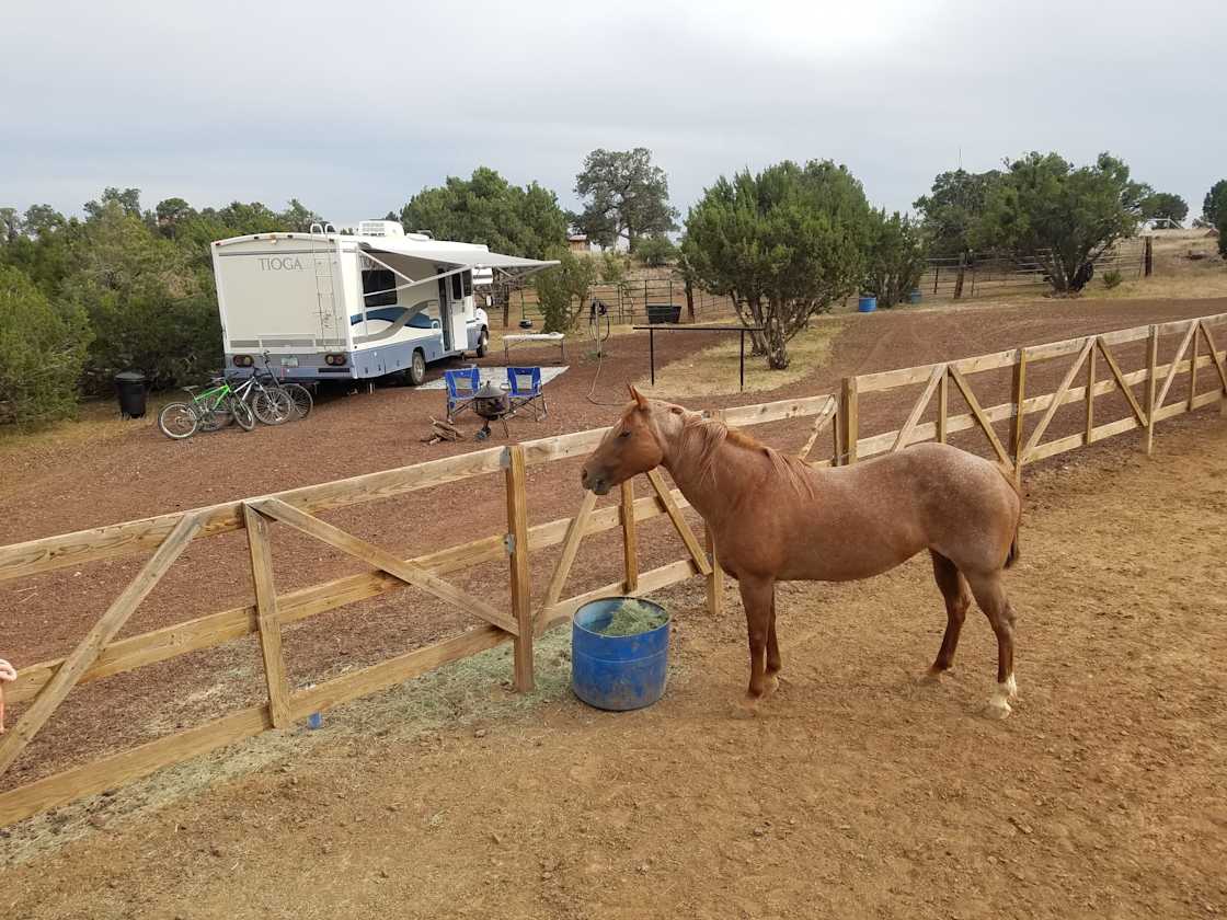 Horse Camping