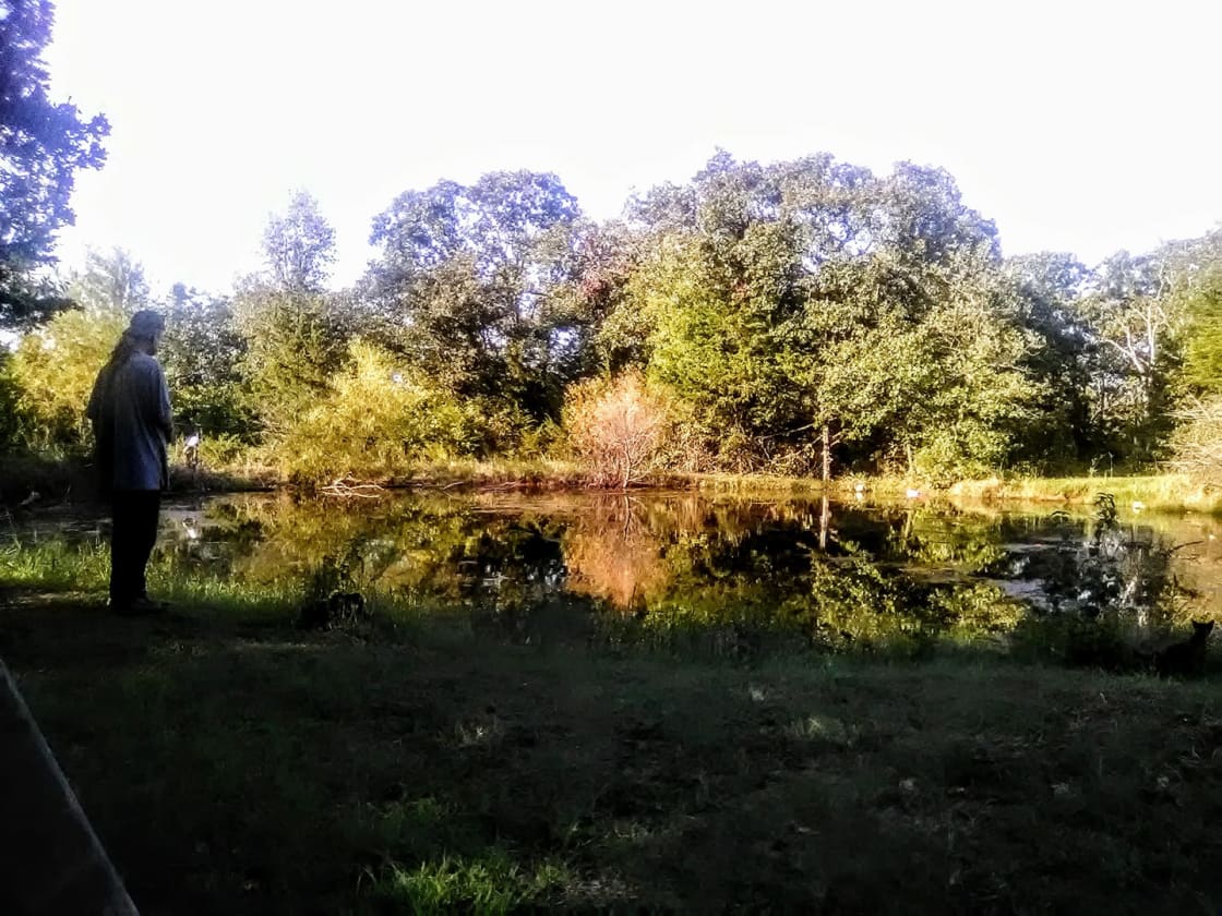 Main Meadow Sanctuary