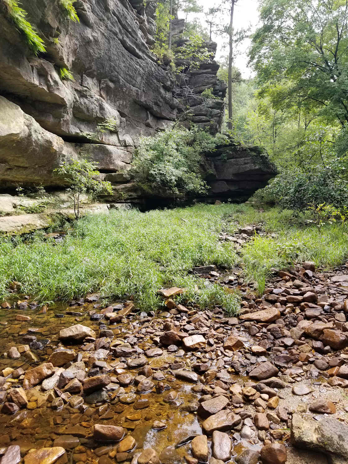 Hagood Farms and Trails