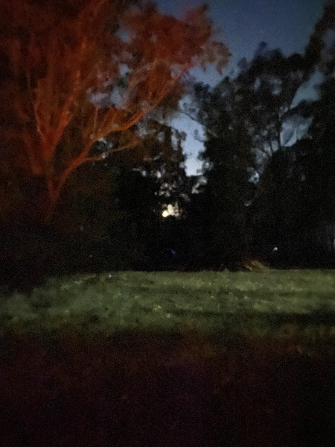 View down the property with a full moon rising. 