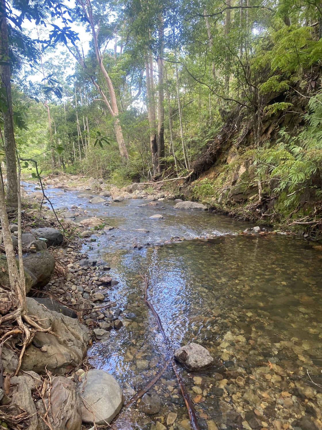 Adjacent running creek