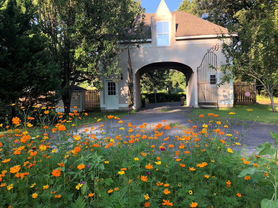Lowcountry Camping & Glamping