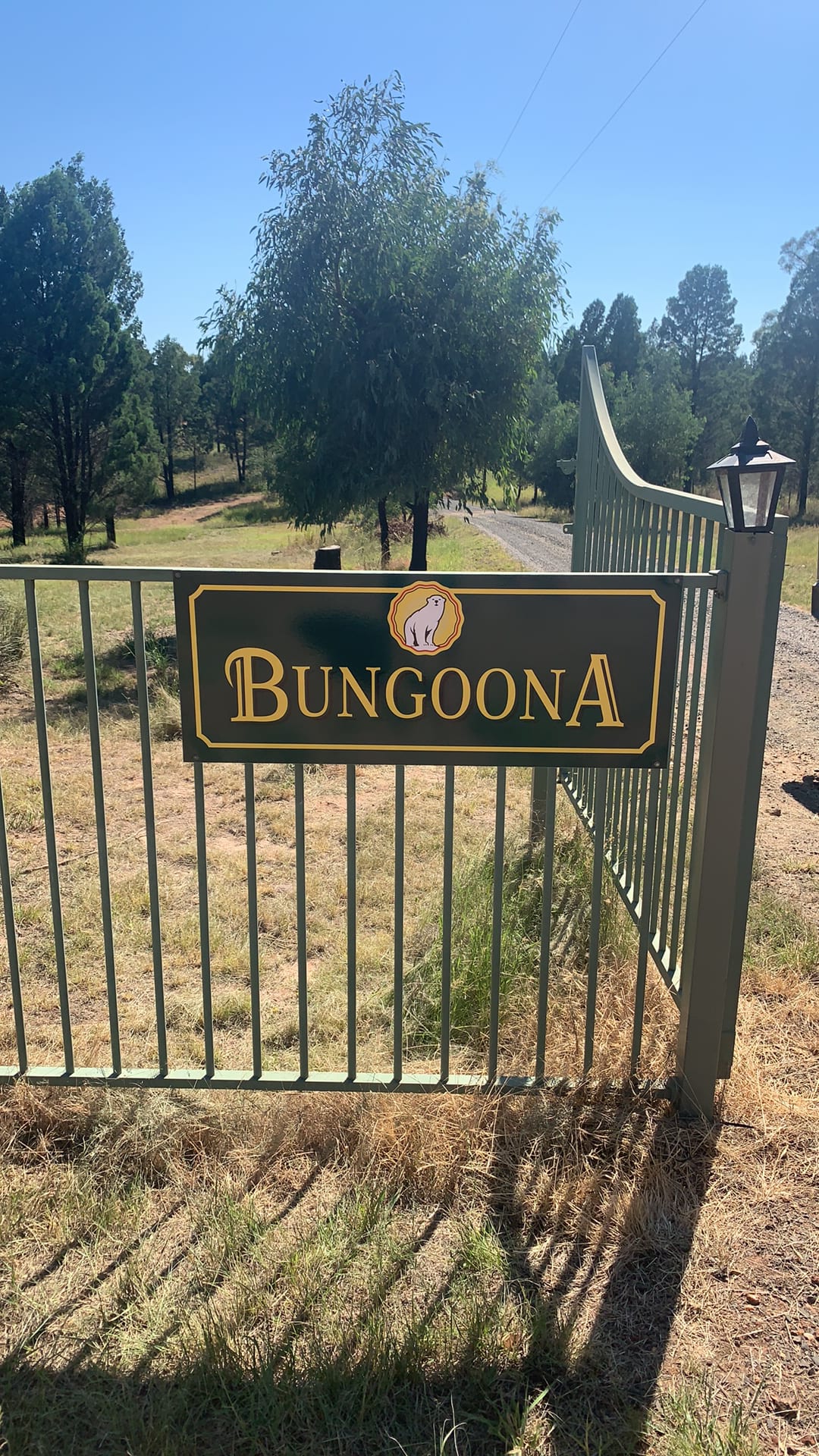 Bungoona Bush Camping