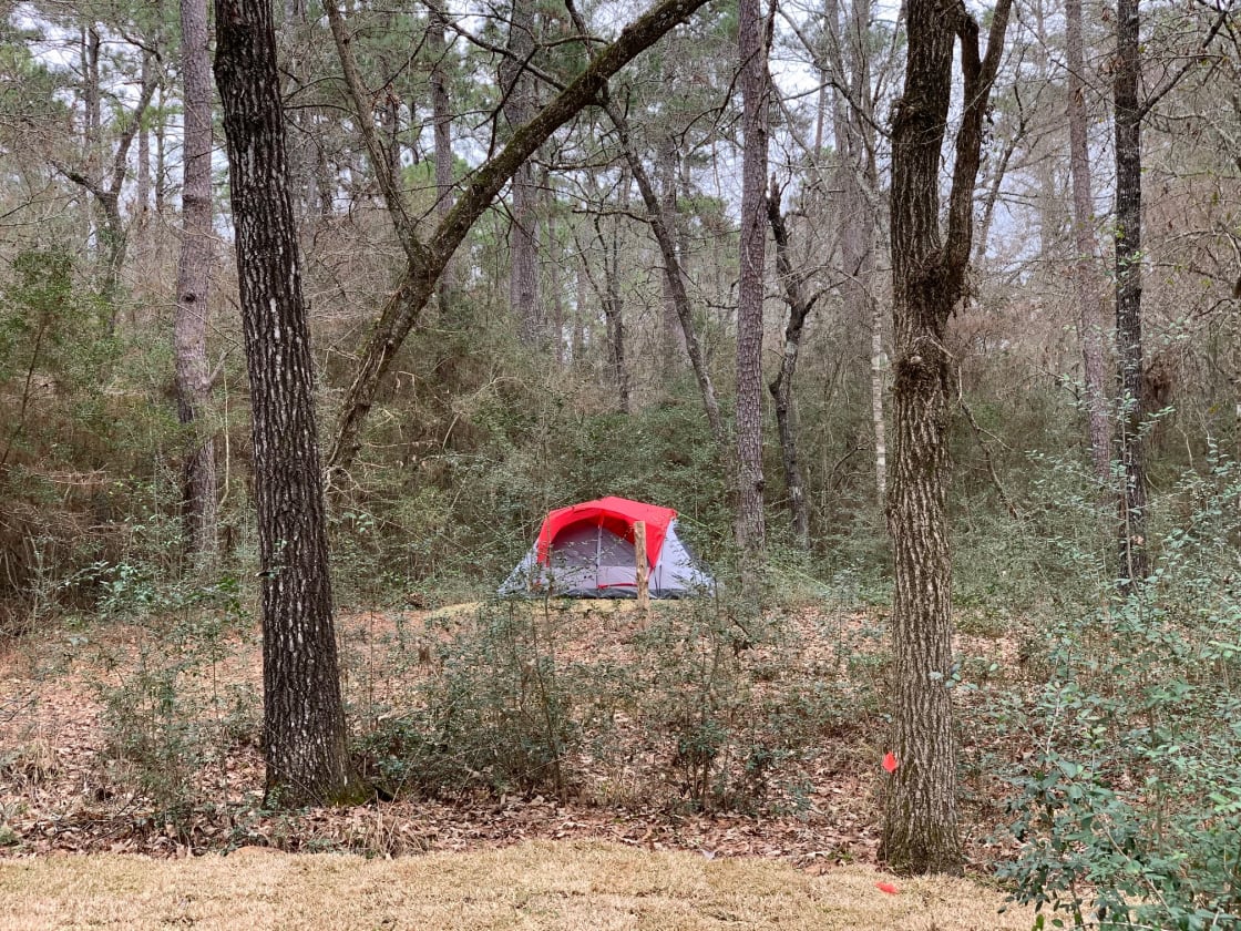 Nestled in native Texas woods, our tent sites allow you to disconnect and return to nature.