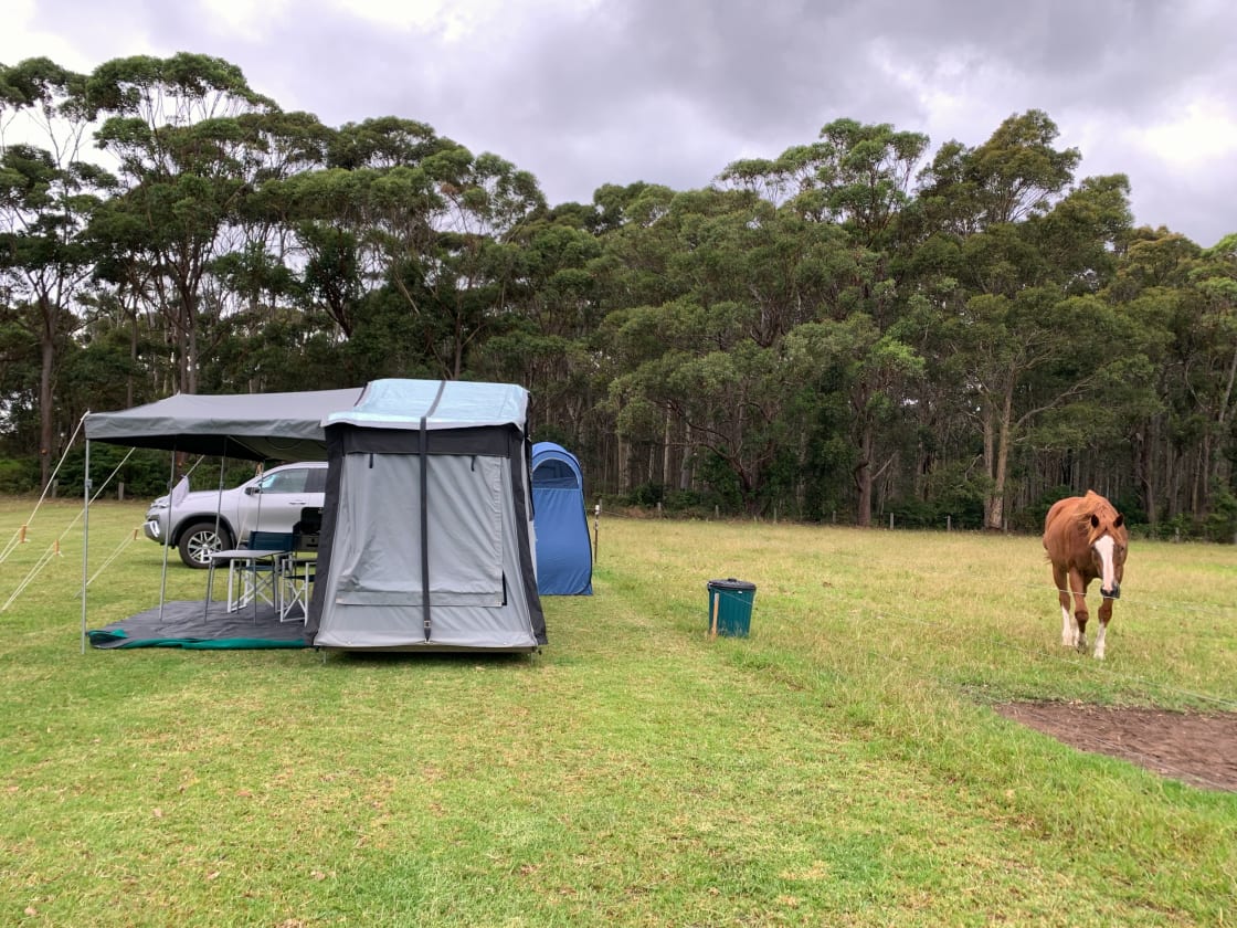 Figtree Camp @ Mystery Bay