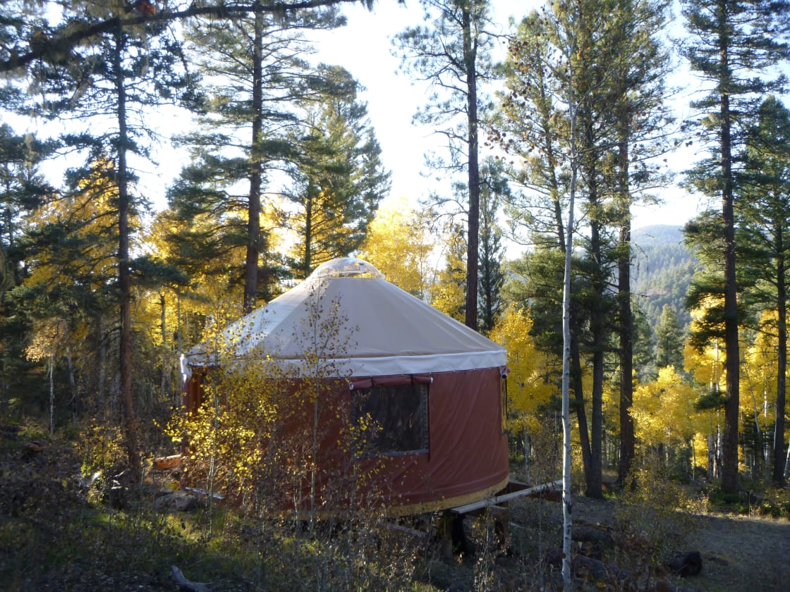 South Boundary Yurt in Taos Canyon