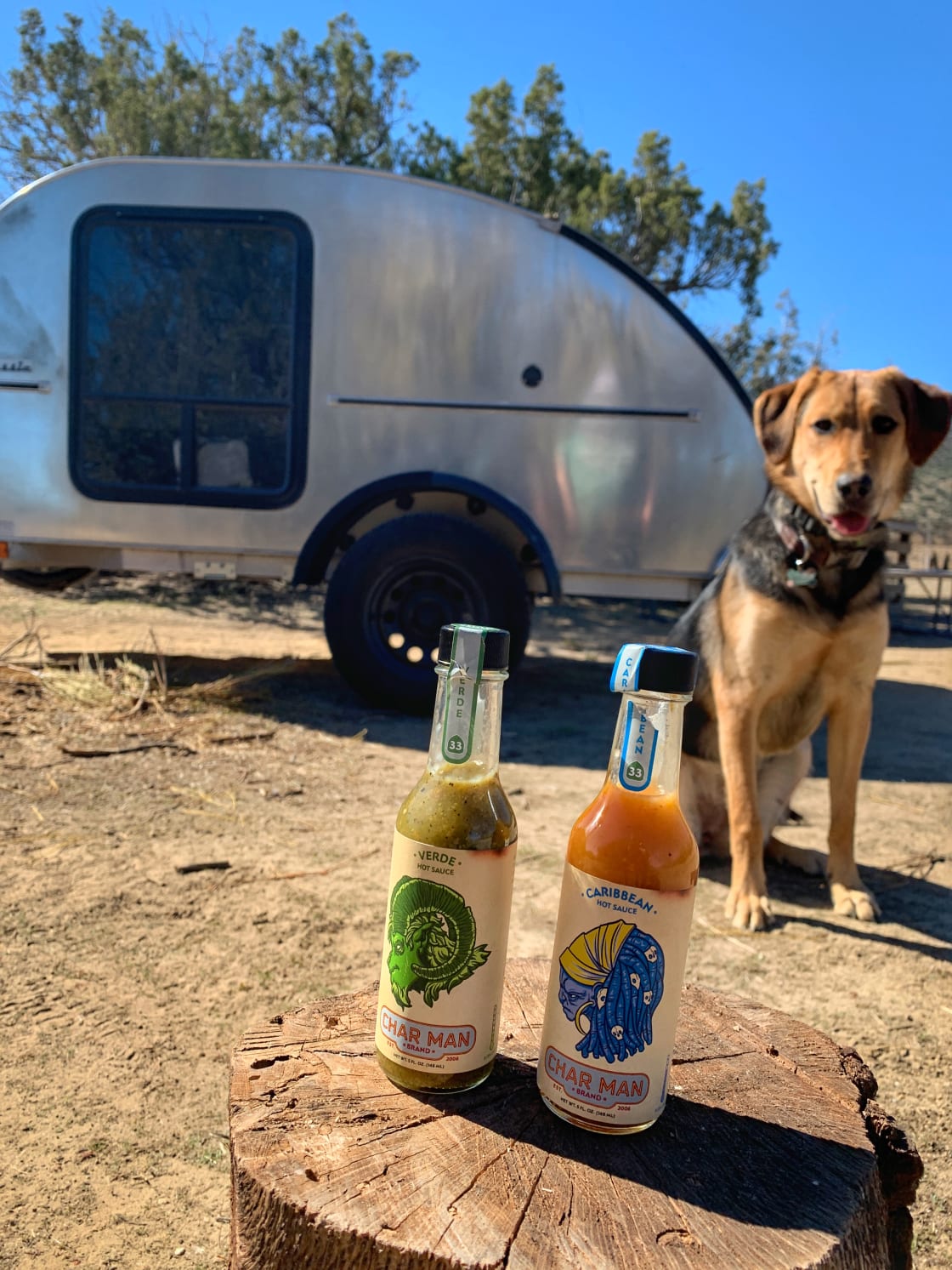 At the campsite with the best hot sauce we found at the pistachio company just up the road!