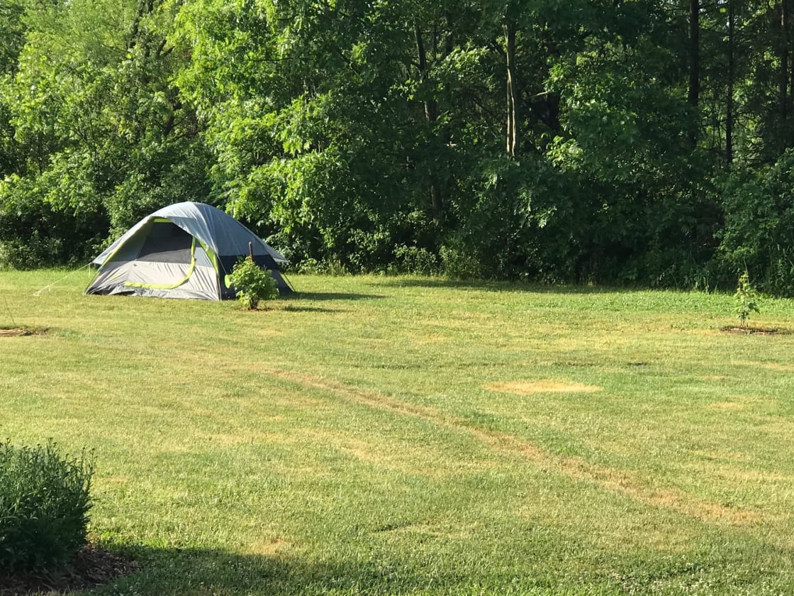 A guest camping in a tent in the field with the trees to the south