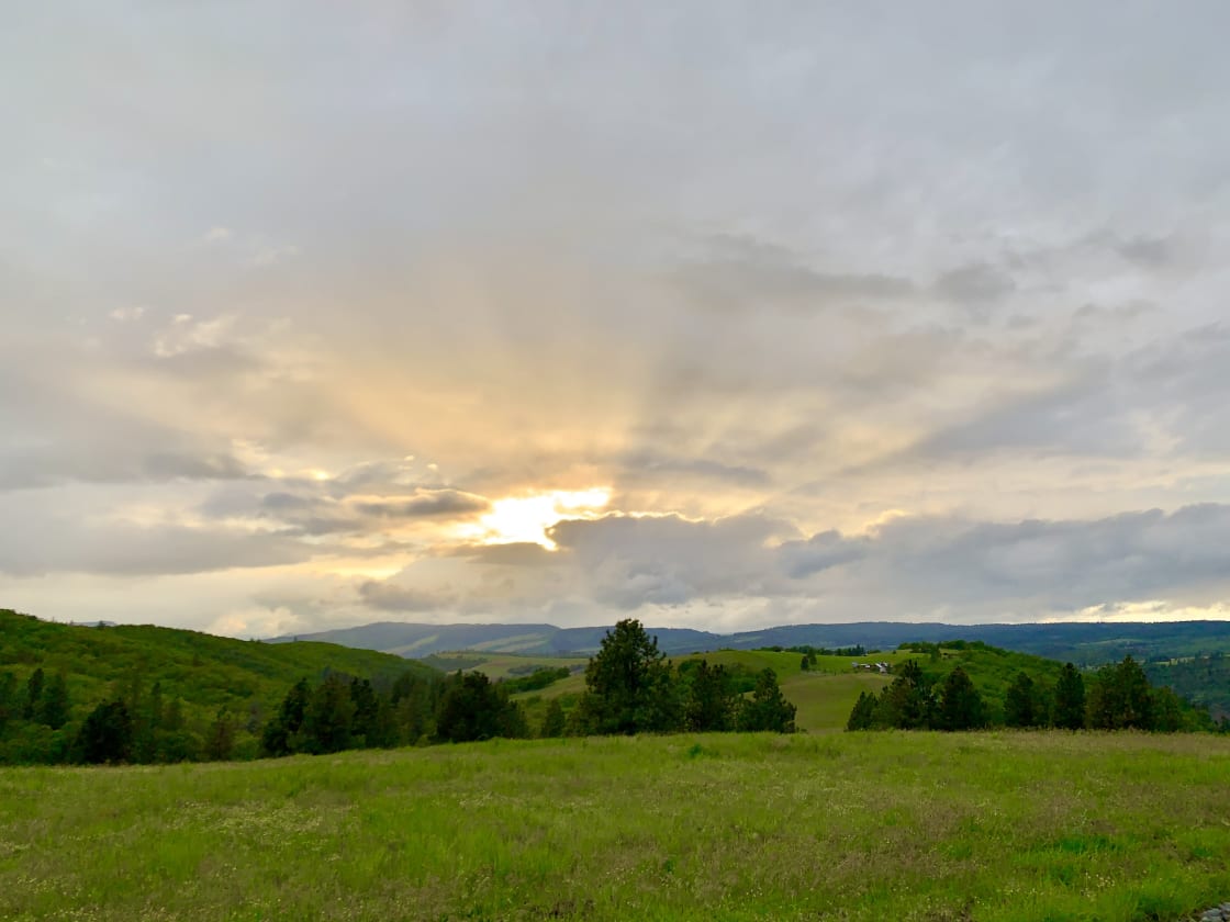 This is the glorious meadow you will view from your lodging in the yurt. Watch red-tailed hawks soar overhead, hear the song of the meadowlark.