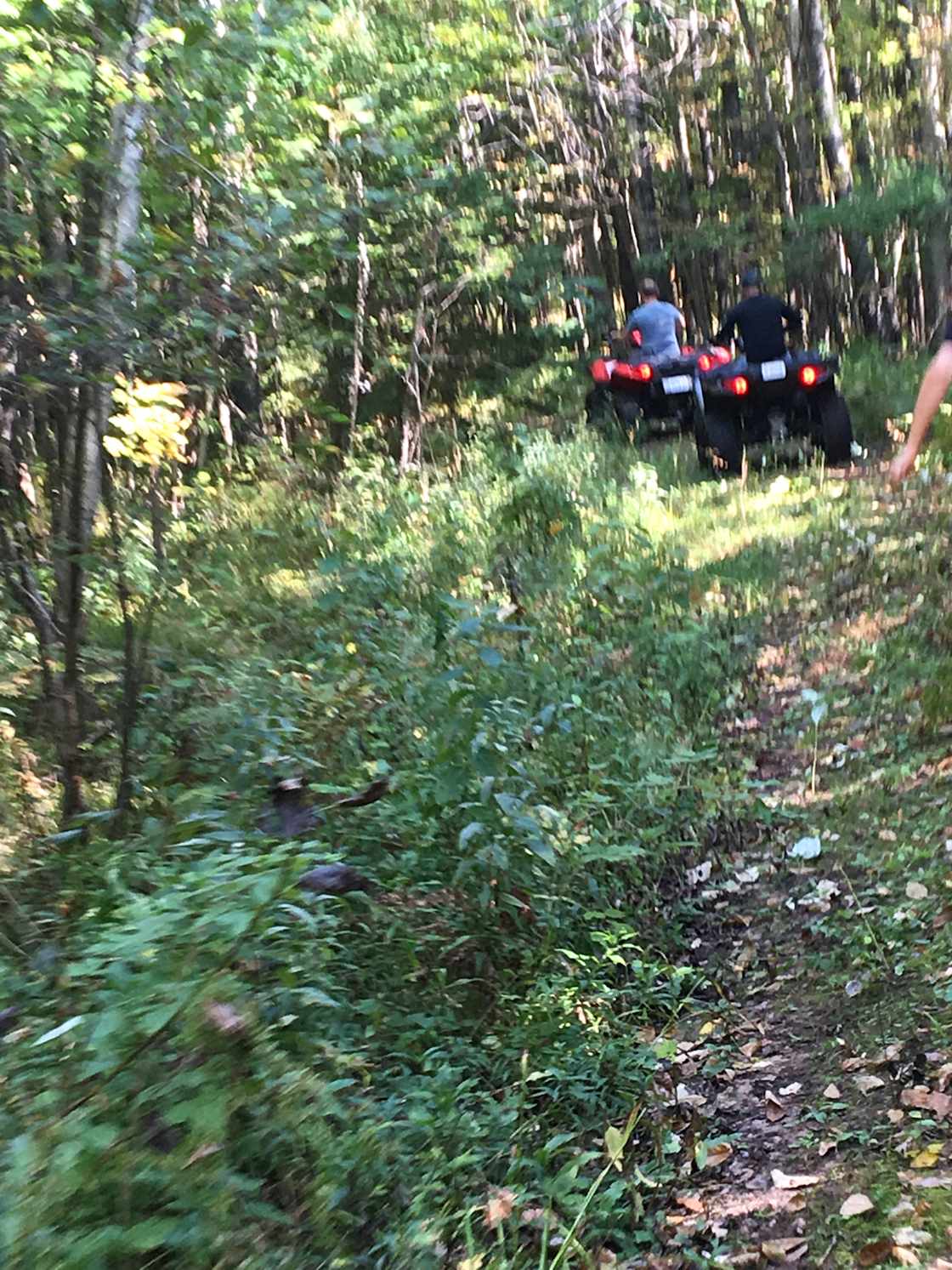 Dunbar WI Creekside wooded escape!