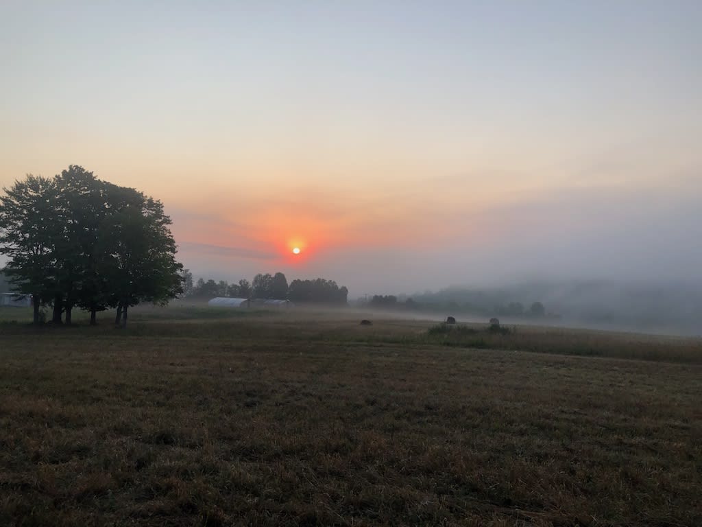 Sunrise in one of our pastures.  