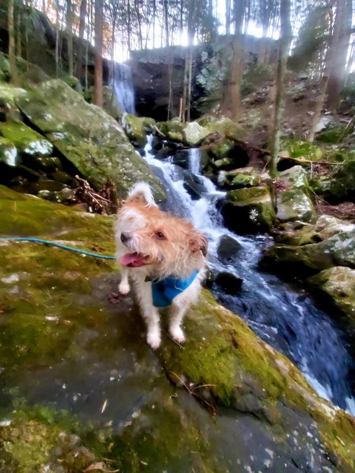 Exploring the downstream of the falls