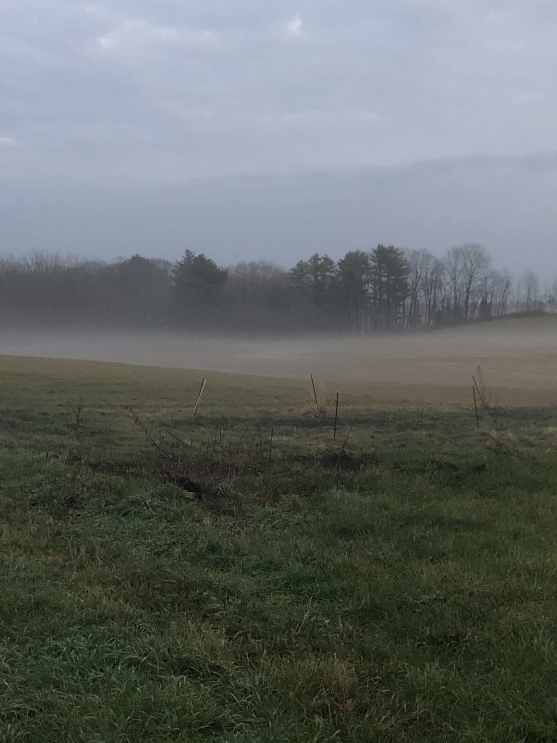 Mist cloaked fields.