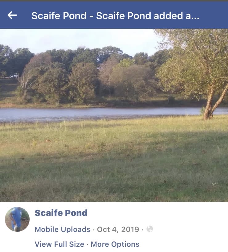 Scaife Pond