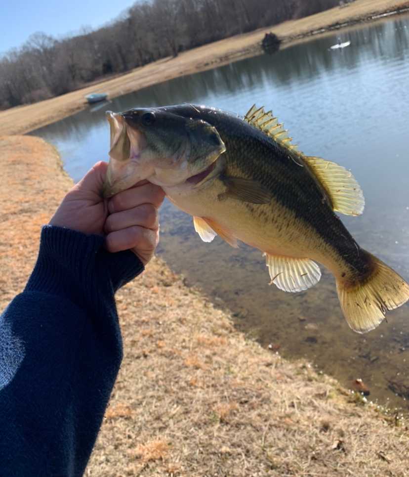 You can catch trout in our pond or the neighboring brook!