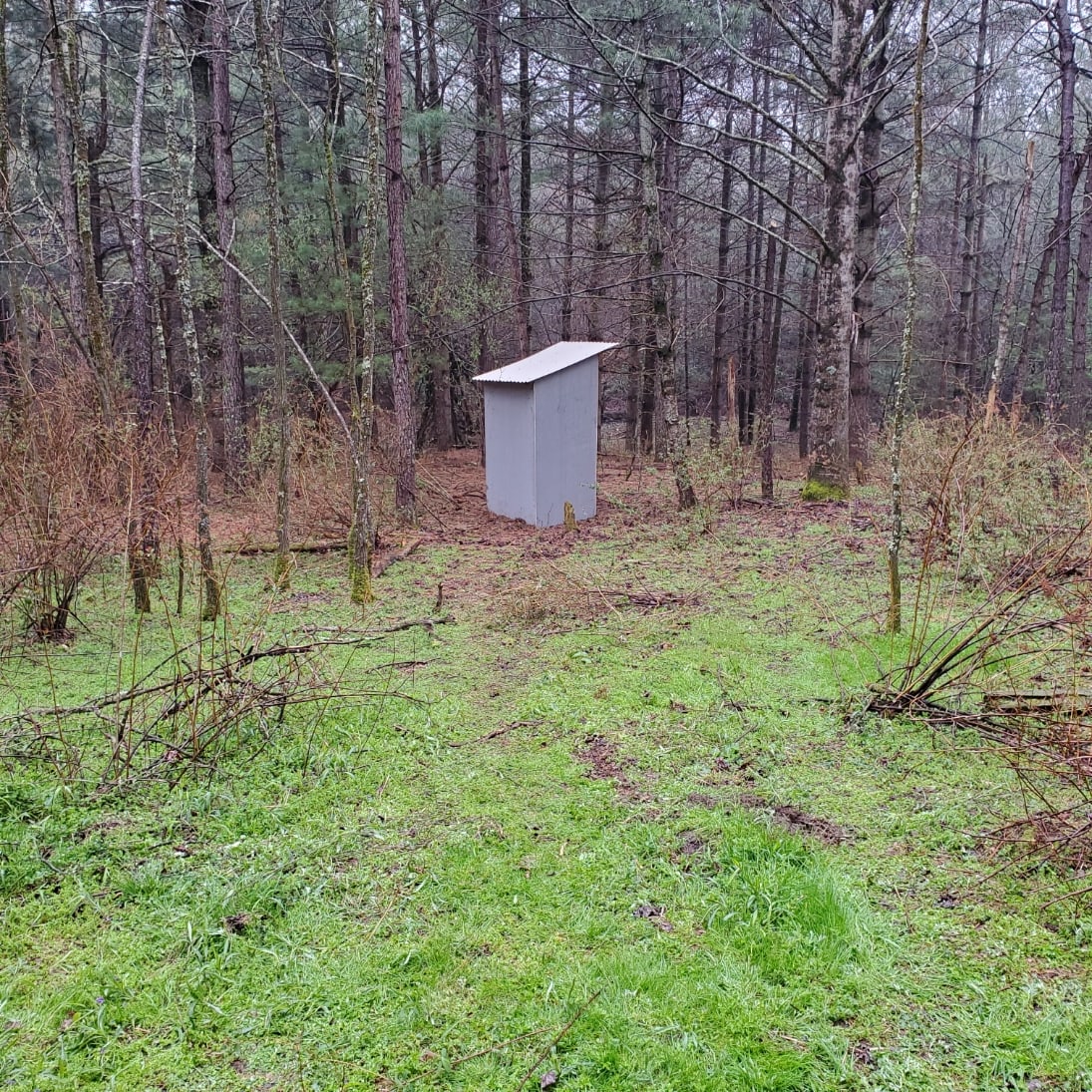 View of the outhouse from the camp area.