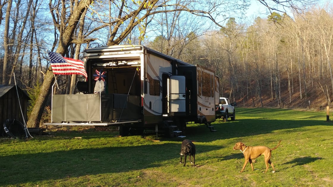 The Pups love to camp, so if you have a dog friendly dog or dogs bring them along.