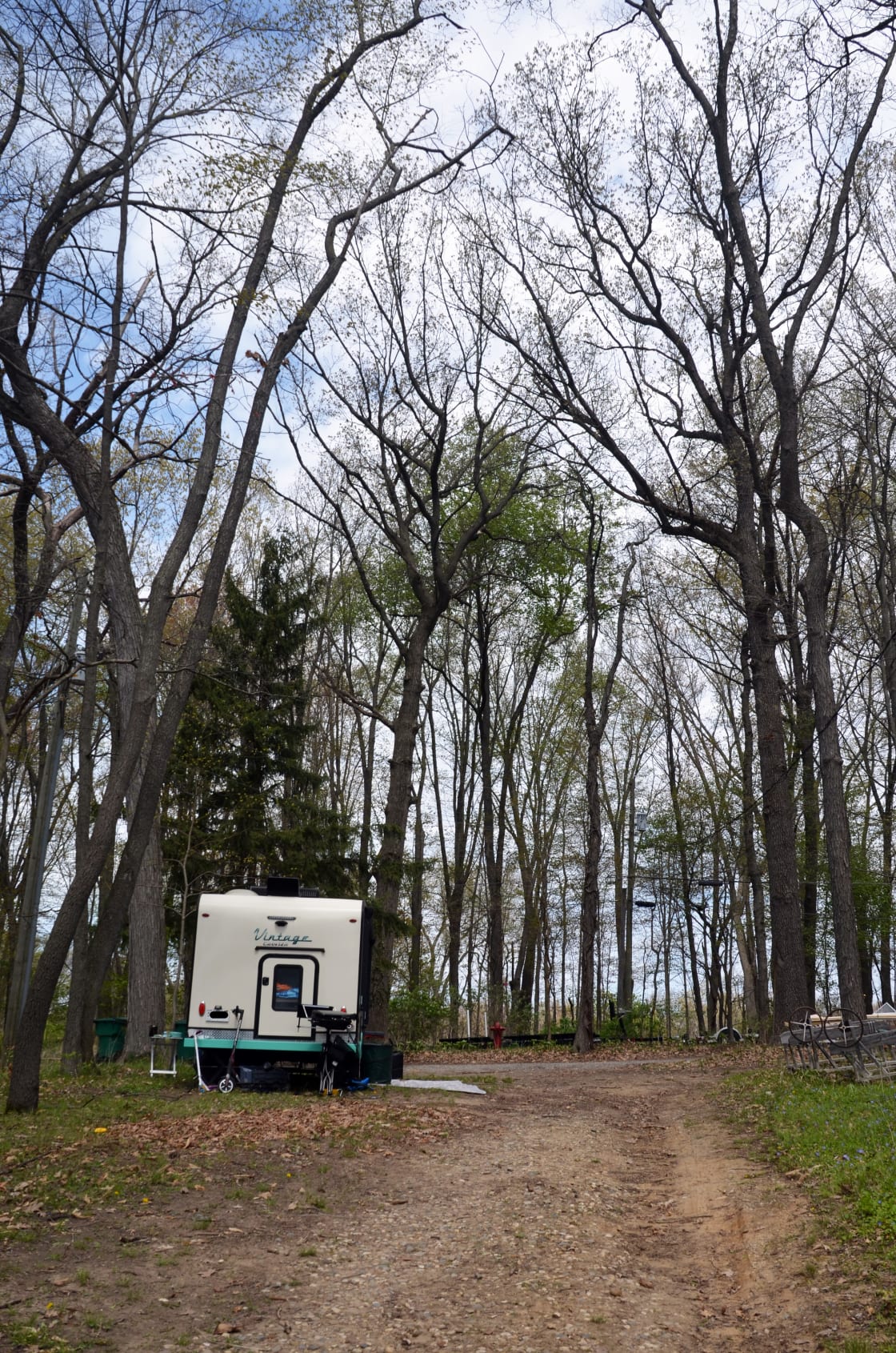 The campsite is shaded by old growth trees on a private road.