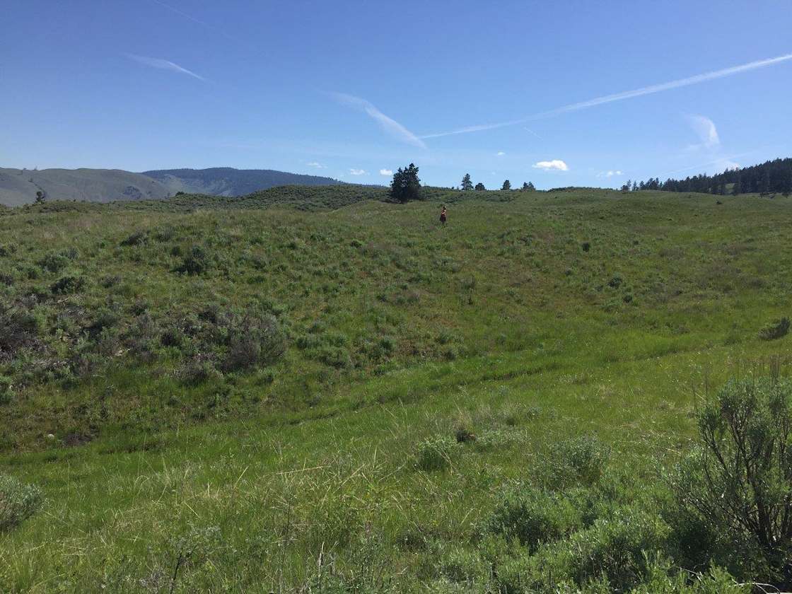 The Beautiful T & A Ranch!