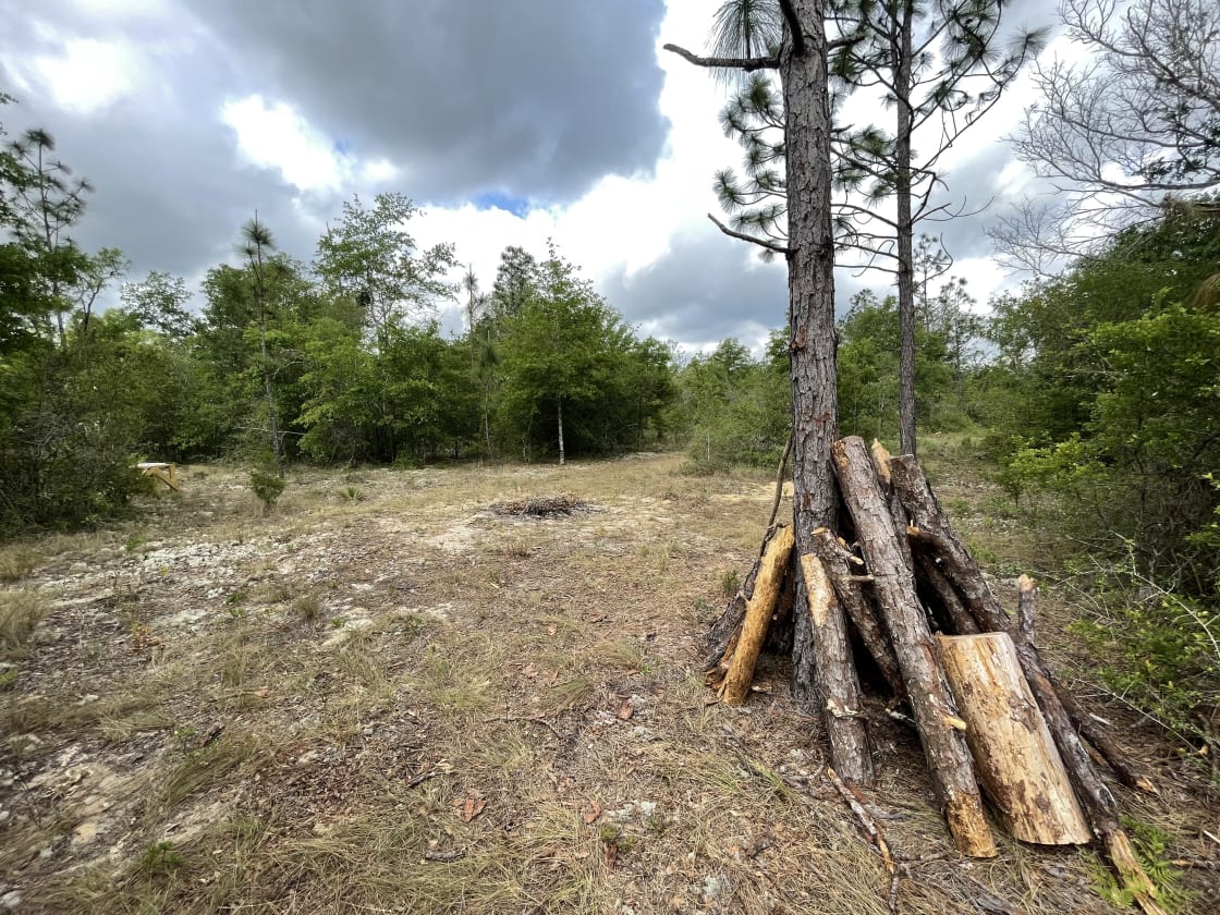 This is one of our campsites with wood ready to burn.