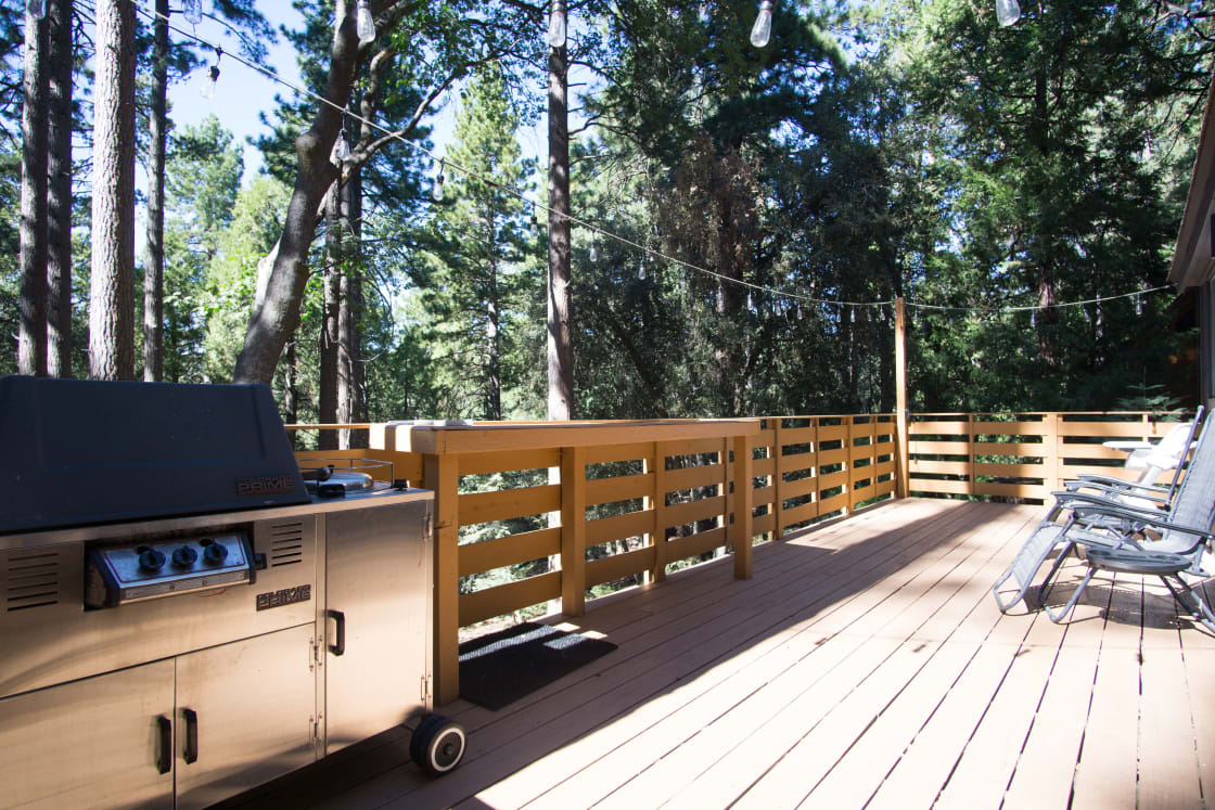 Beautiful private deck out back, nestled amongst the majestic forest!
