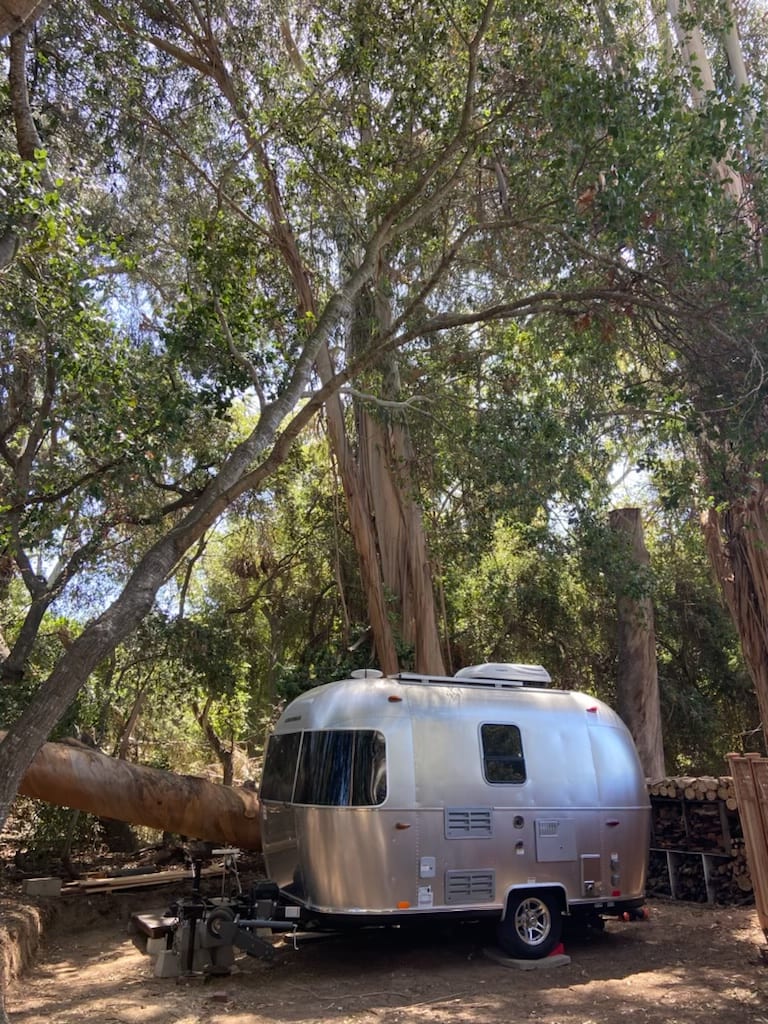 Tiny Airstream Surrounded by Trees