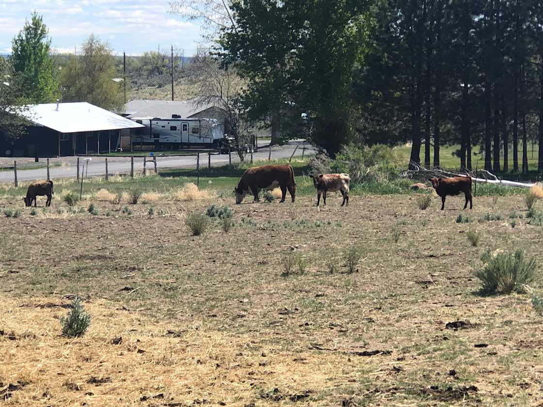 The Broken Spur Acres