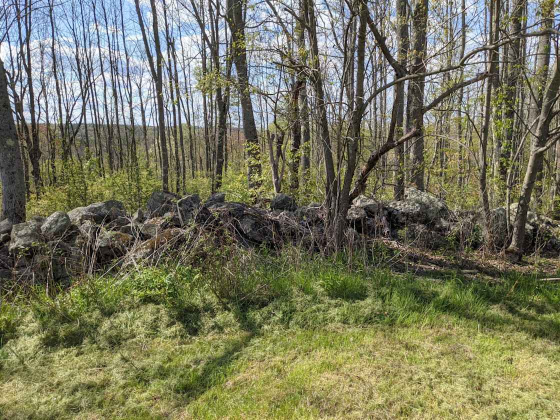 Carl W.’s Land