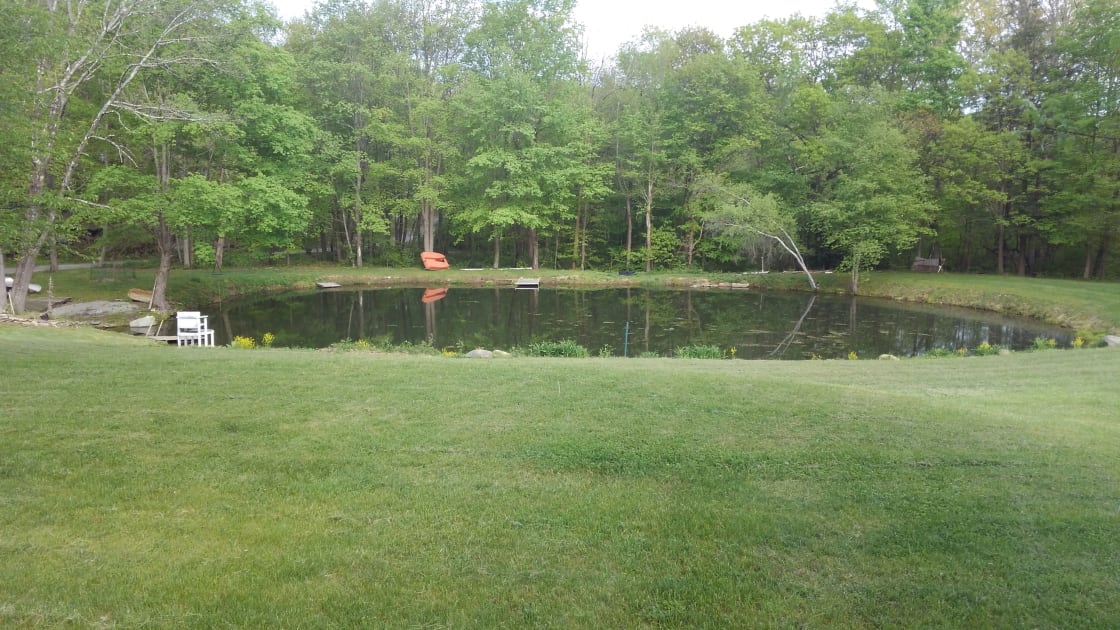 1/2 acre pond with paddleboat for use