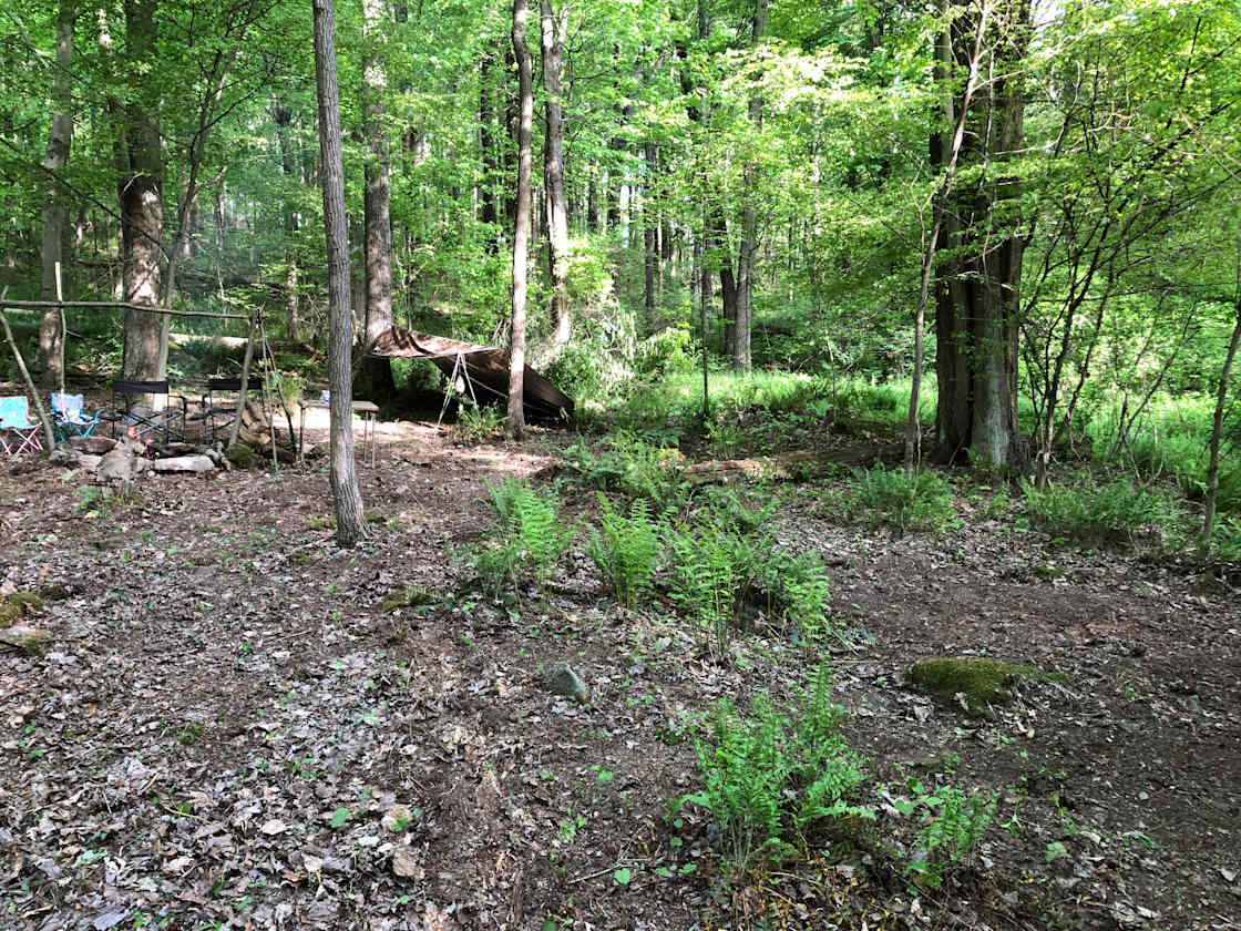 Ferndell Springs