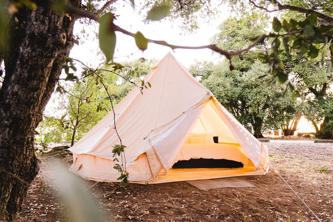 I loved how the safari tent was nestled amongst the trees! The fairy lights provide a dreamy experience! 