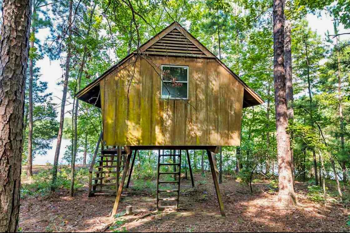 Incredible nature camp!