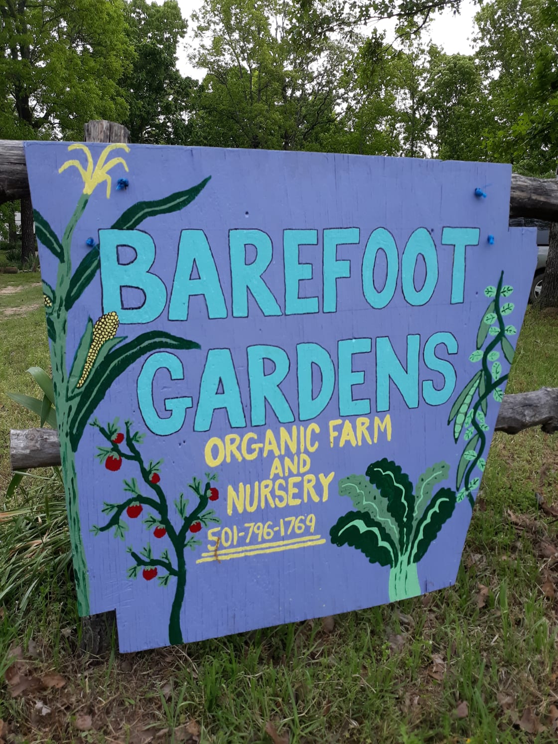 Barefoot Gardens Homestead & Camp