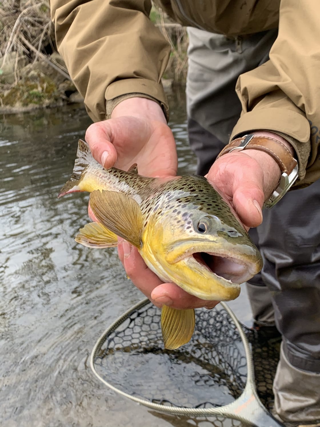 Quality trout waters nearby! 