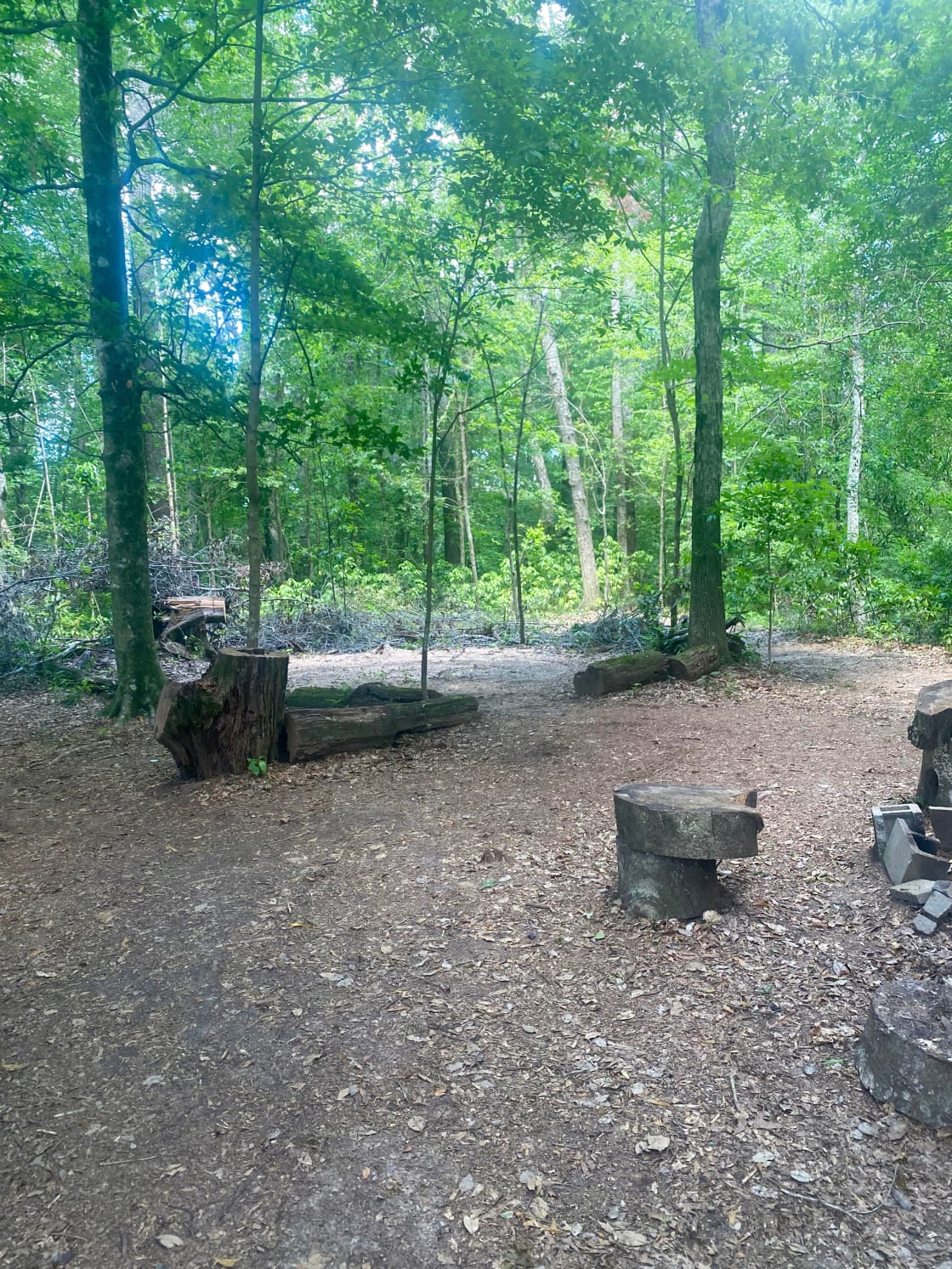 Large wooded site has spots for up to 5 tents.