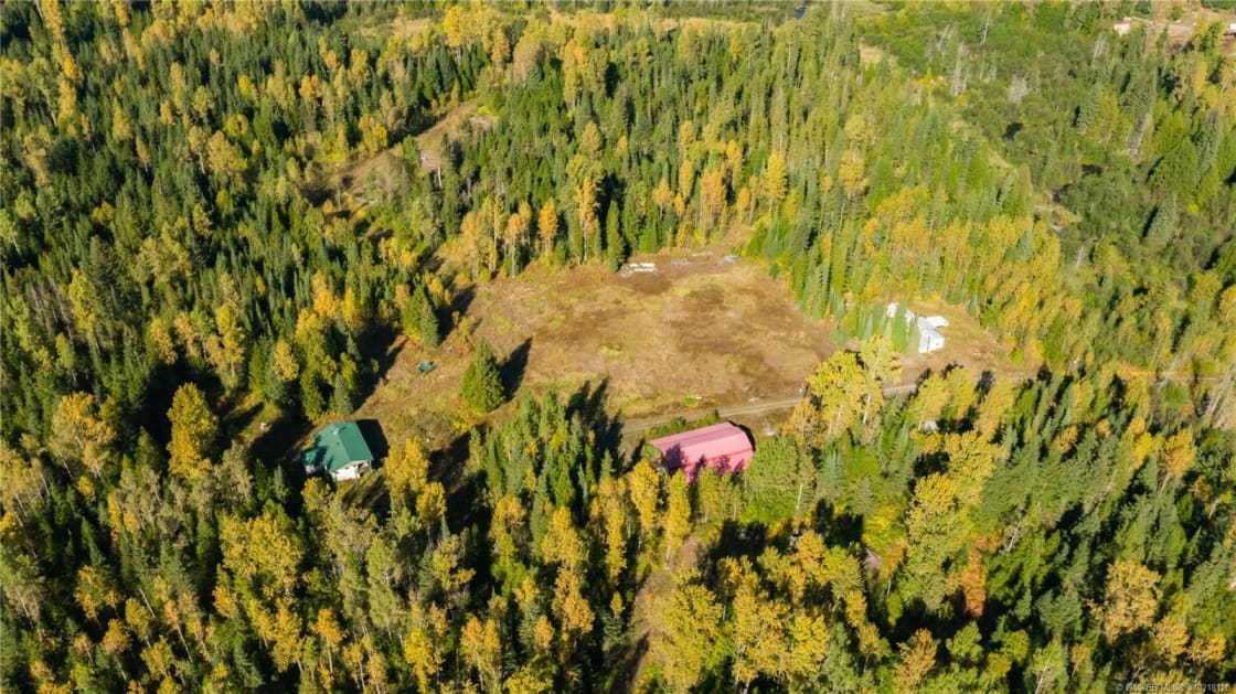 Remote & Private Forest Campsite