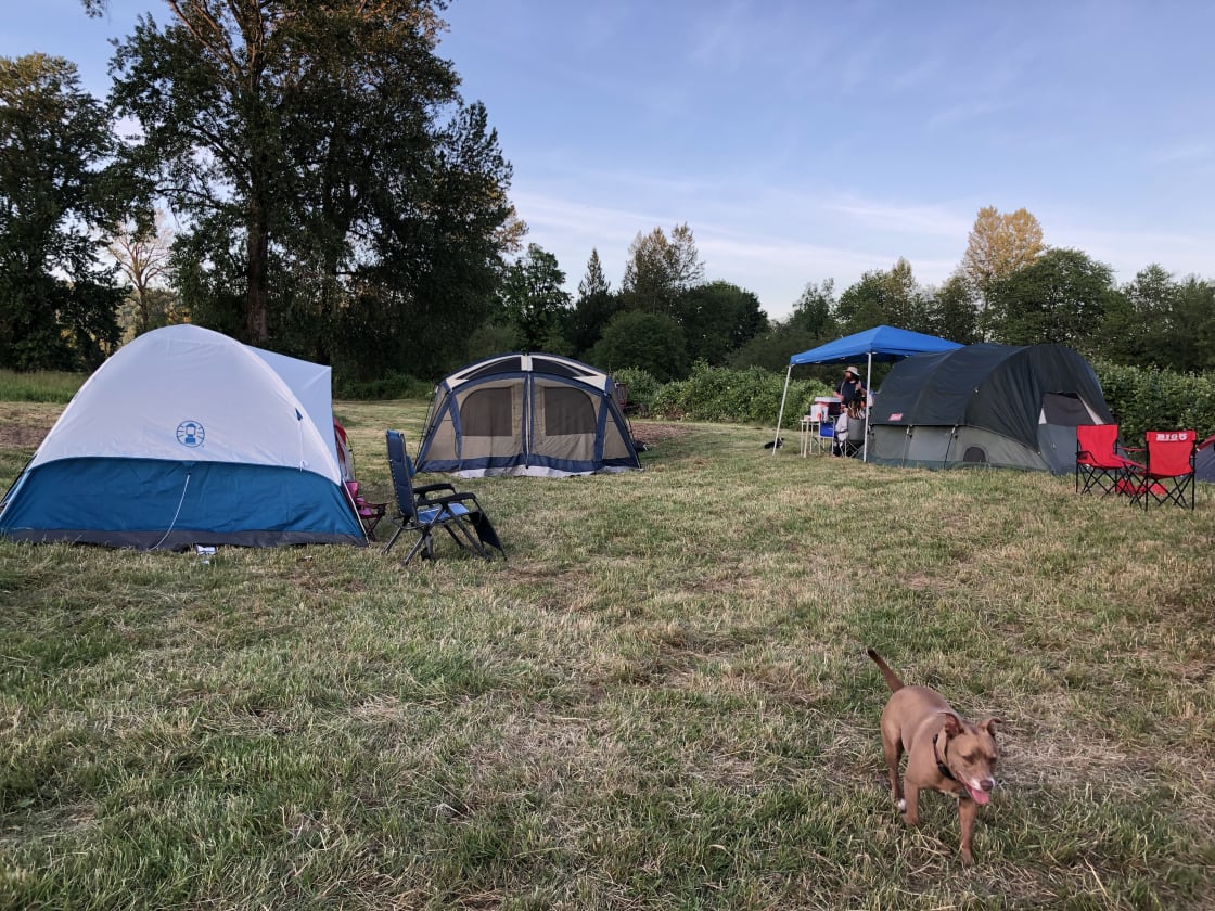 Snoqualmie River Beach Camping