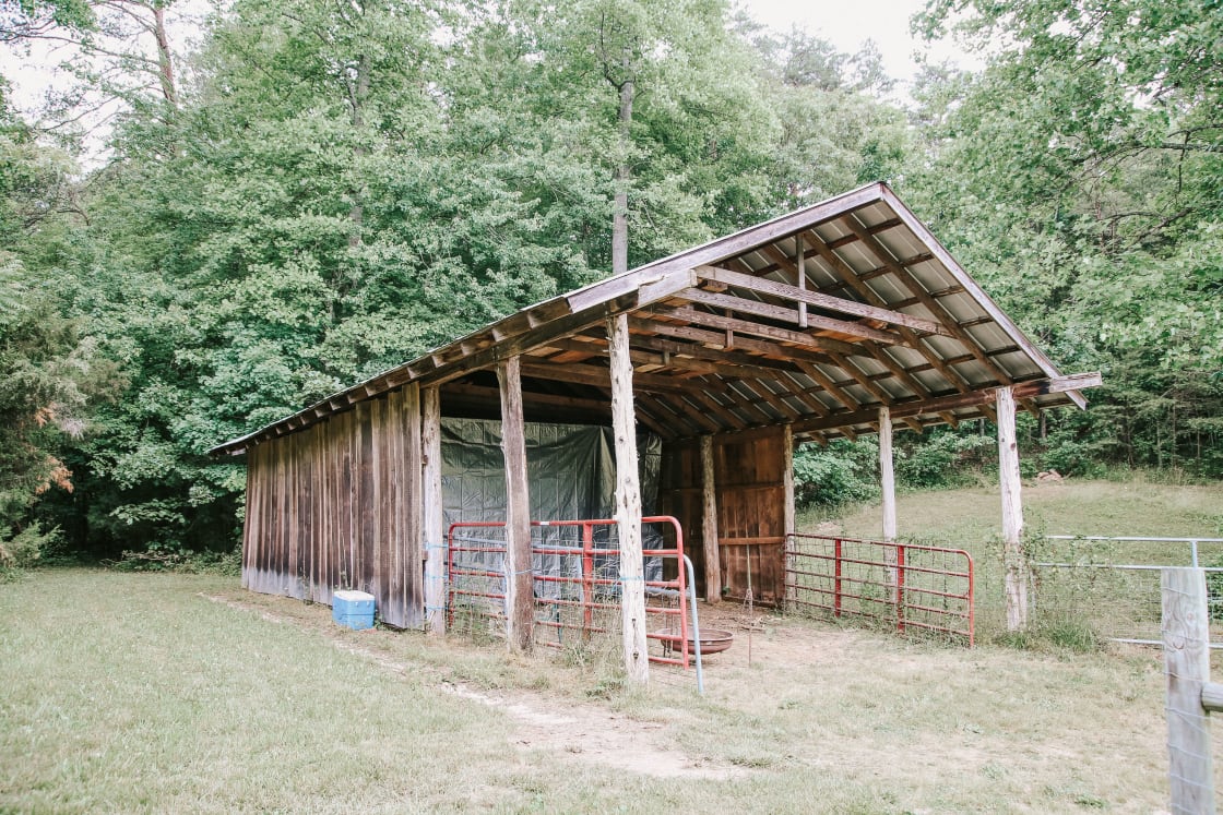 This is near one of the campsites. John allows guests to use it to sit out rain if they need to. In the back, he store’s firewood available for purchase. 