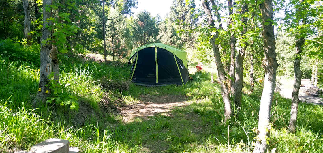 Maybe you can't tell by the picture but this is a 8 person tent and it fit just fine.