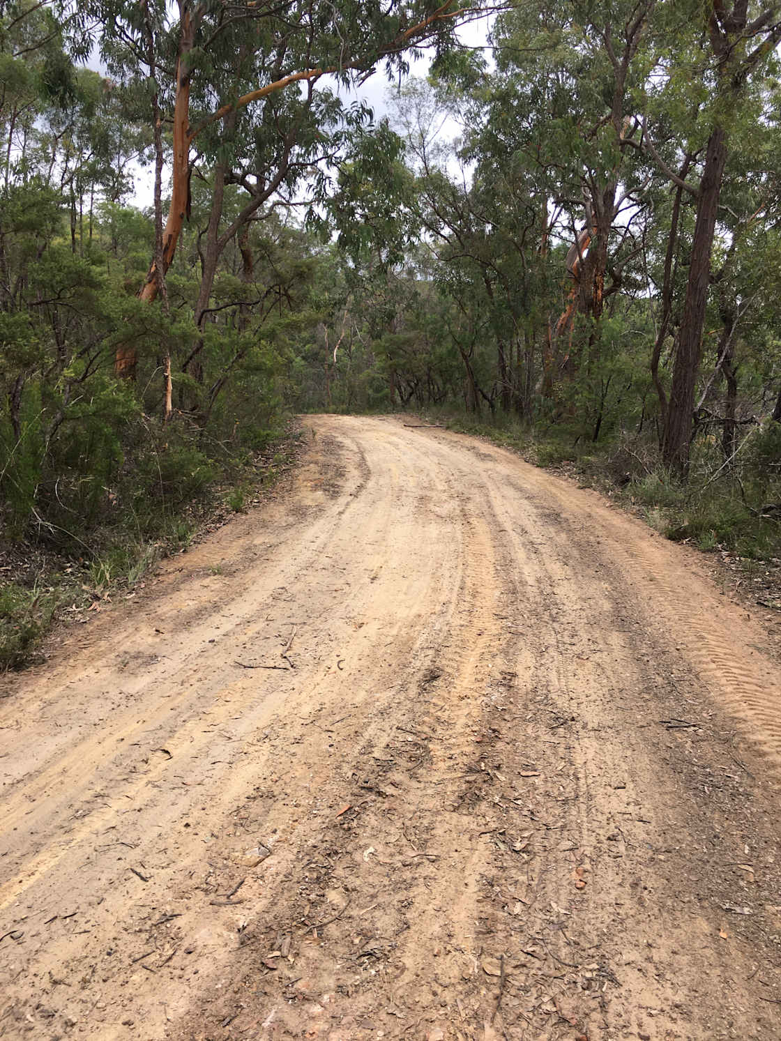 Jarrah Camping Area