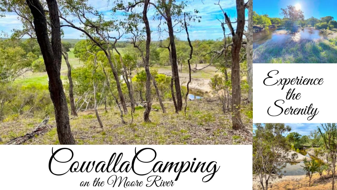 Cowalla Camping & The Healing Haven
