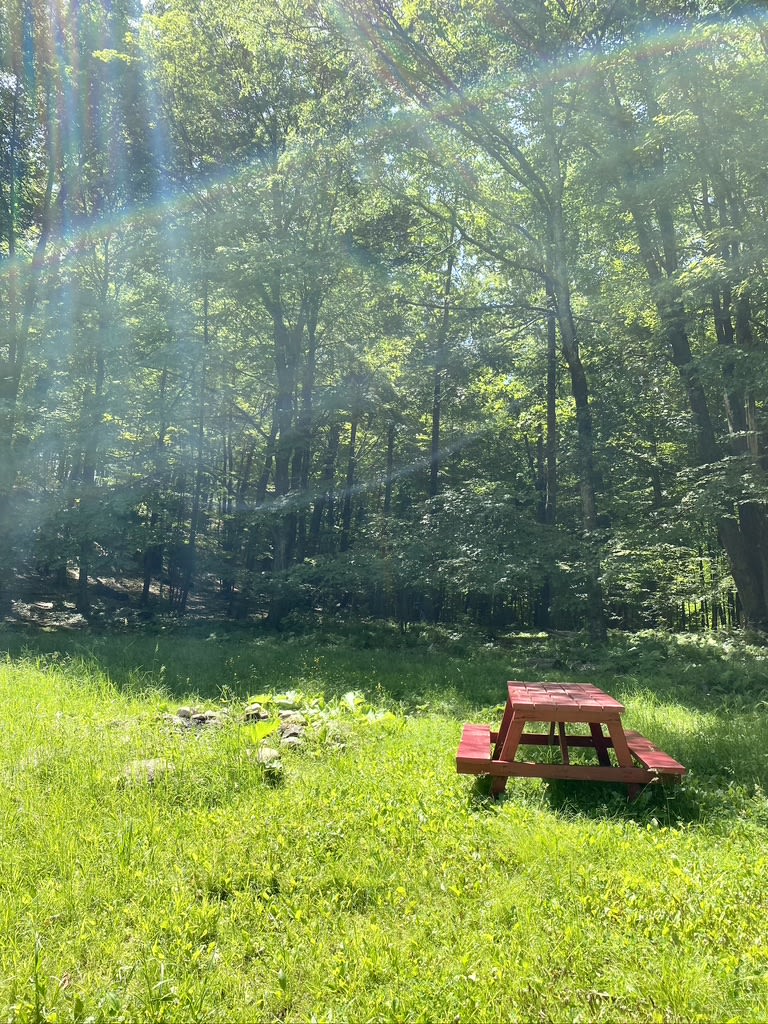 Red Fox Meadow Campsite