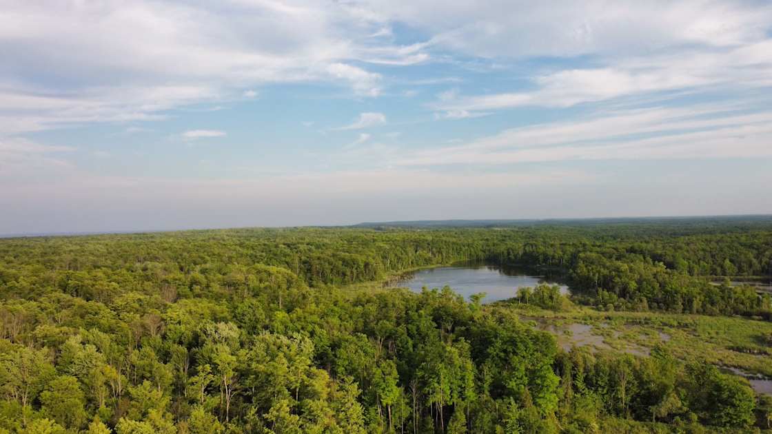 Arial view of our land - 137 Acres