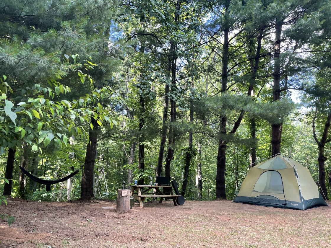 This is site #1, and the tent in the picture is the tent that comes with the Rent-A-Tent add-on. 